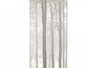 Фото - Обои Caselio Legends - 231084>