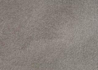 Фото - Обои Marburg Colani Visions - 209073>