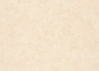 Фото - Обои Caselio Beton 2 - 631938>