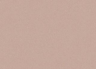 Фото - Обои Hookedonwalls Classy Vibes - 395508>