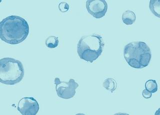 Фото - Обои KT Exclusive Tales - 347744>