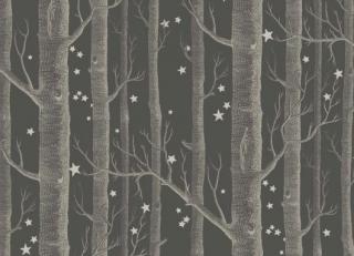 Фото - Обои Cole & Son Whimsical - 232164>