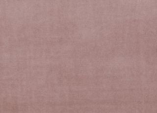 Фото - Ткани Clarke&Clarke Alvar - 295588>