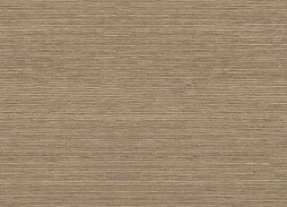 Фото - Обои Emil&Hugo Naturalis - 573050>