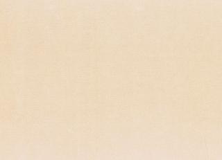 Фото - Ткани Camengo Nomade - 508469>