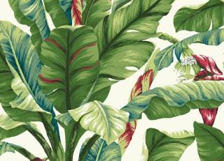 Фото - Обои York Wallcoverings Tropics - 548839>