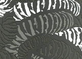 Фото - Обои Tres Tintas Sophie - 198145>