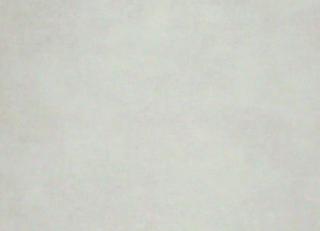 Фото - Обои Casadeco So White 3 - 557225>