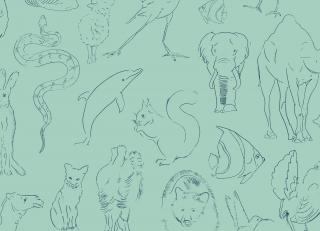 Фото - Обои Coordonne Random Kids - 559417>