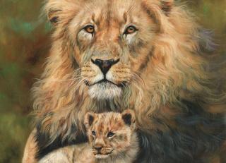 Фото - Обои Ortograf Дэвид Стрибблинг - 479039>