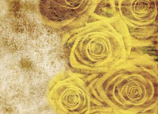 Фото - Обои Ango Linea Natural - 330852>