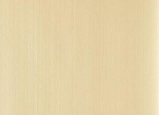 Фото - Обои Farrow & Ball Plain & Simple - 366994>