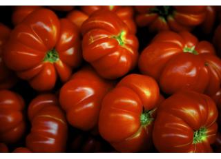 Фото - Обои Photowall Еда и напитки - 298673>