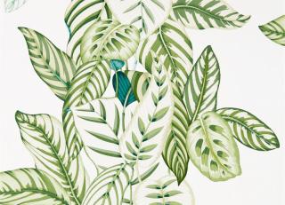 Фото - Обои Sanderson Glasshouse - 410779>