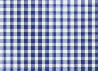 Фото - Ткани Sanderson Bramley Checks - 260472>