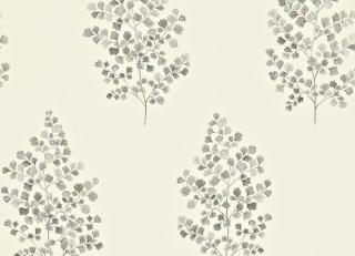 Фото - Обои Sanderson Maycott - 188074>