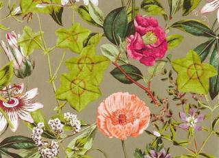 Фото - Обои Clarke&Clarke Exotica 2 - 552678>