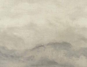 Фото - Ткани Clarke&Clarke Elementa - 379607>