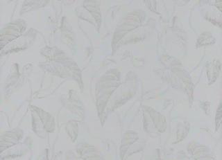 Фото - Обои Casadeco So White 3 - 557248>