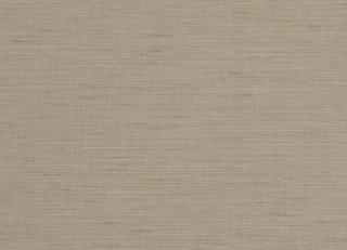 Фото - Ткани Clarke&Clarke Tussah & Seda - 362970>