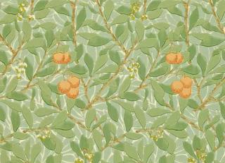 Фото - Обои Morris & Co Morris and Friends Wallpapers - 607853>