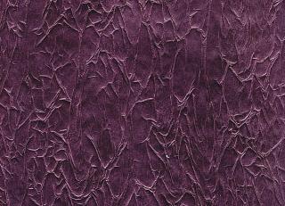 Фото - Обои Arlin Velawall - 342126>