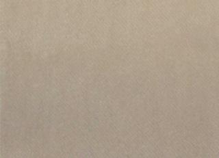 Фото - Ткани Alessandro Bini Spitfire - 438076>