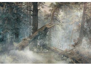 Фото - Обои Ortograf Mirage - 477151>