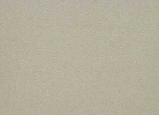 Фото - Ткани Lelievre Wooly - 470114>