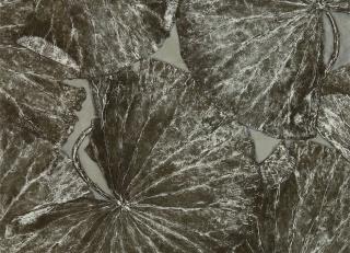 Фото - Обои Zoffany The Muse Wallcoverings - 366892>