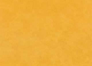 Фото - Обои Casamance La Chaux - 594839>