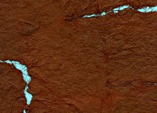 Фото - Обои Elitis Epure - 340461>