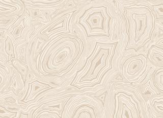 Фото - Обои Cole & Son Fornasetti - 400071>