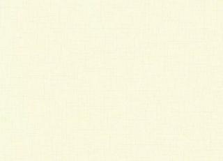 Фото - Обои Shinhan Nuevo - 555031>