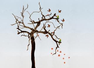 Фото - Обои Wall&Deco CODE ANNIVERSARY CONTEMPORARY - 464062>