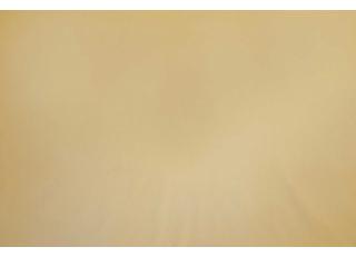 Фото - Ткани Casal Gibson - 446166>