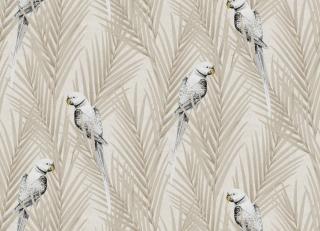 Фото - Обои Khroma Cabinet of curiosities - 508890>