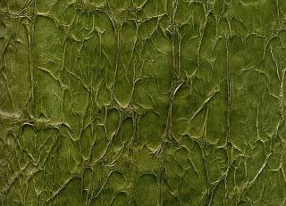 Фото - Обои Arlin Velawall - 342123>