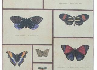 Фото - Обои для стен Graduate Collection - 409043>