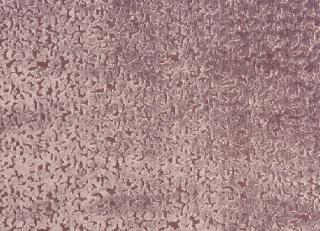 Фото - Ткани Prestigious Textiles Pharaoh - 445771>