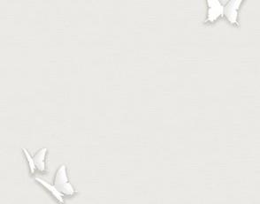 Фото - Обои Andrea Rossi Gallinara - 615305>