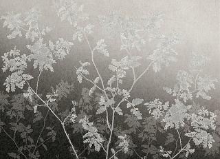 Фото - Обои Tres Tintas Journeys - 345223>