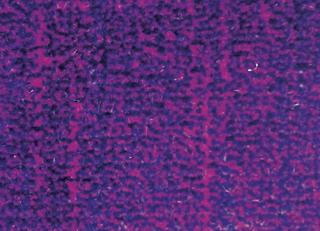 Фото - Ткани Foresti Home Collection Velluto Supreme - 563638>