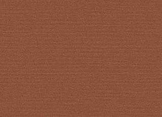 Фото - Обои Omexco Birds of Paradise - 611782>