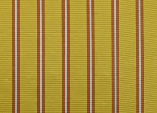 Фото - Ткани Dedar Regimen - 549981>