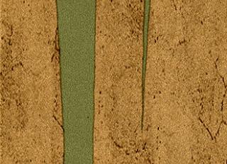 Фото - Обои Elitis Tempo - 262399>