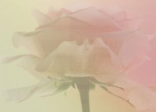 Фото - Обои ECO wallpaper Renaissance - 234149>