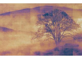 Фото - Обои Texam Id - 425563>