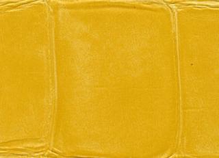 Фото - Обои Elitis Anguille - 257744>