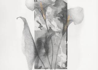 Фото - Обои Wall&Deco CODE 2019 WET SYSTEM - 462752>